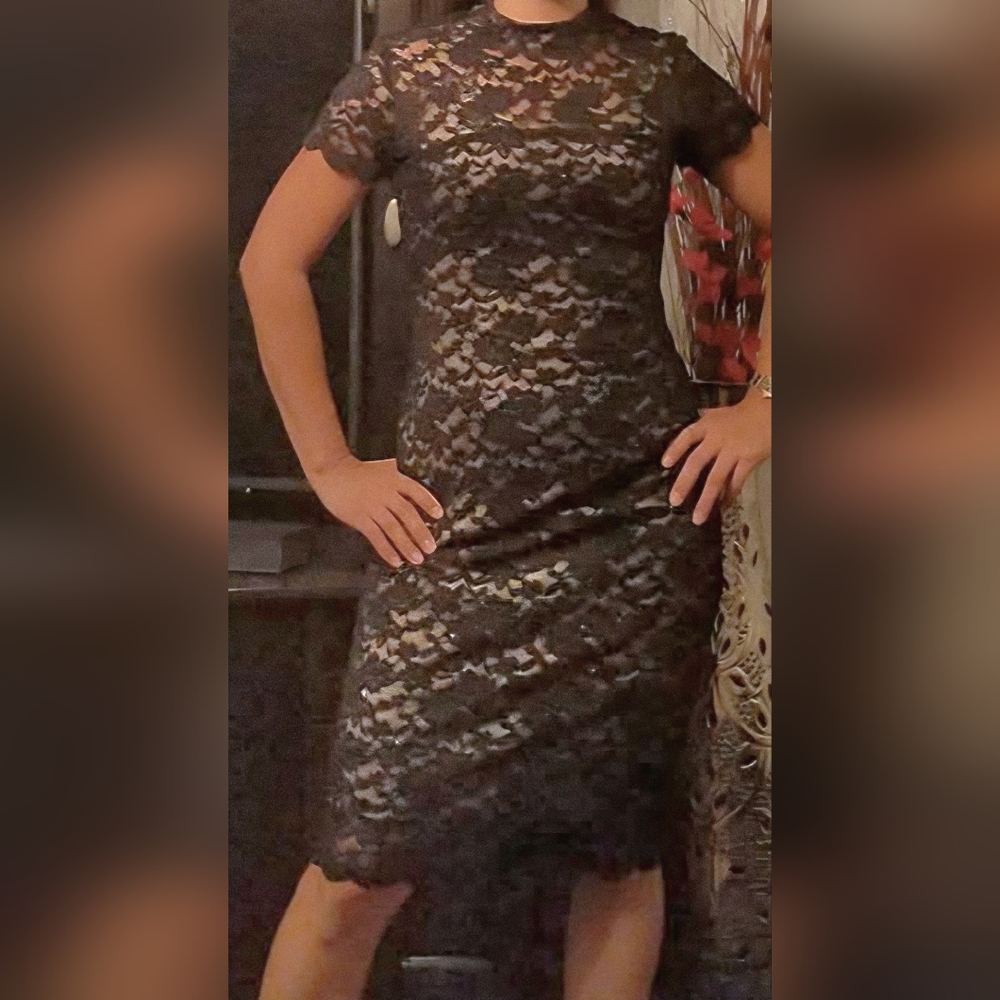 Onyx Nite Black Dress shimery lace size 4